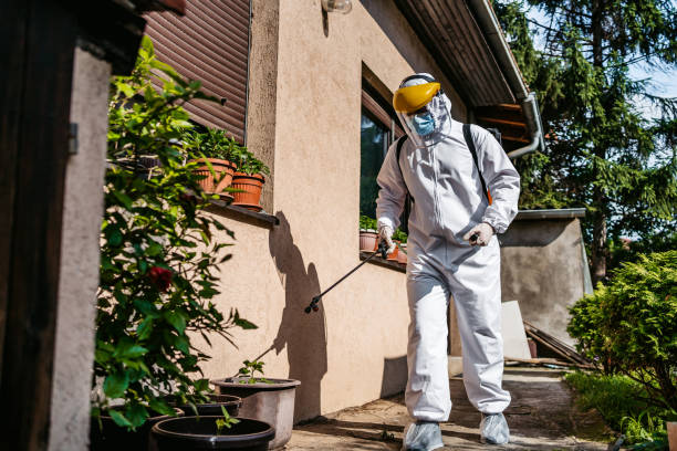 Best Residential Pest Control  in Fort Belvoir, VA