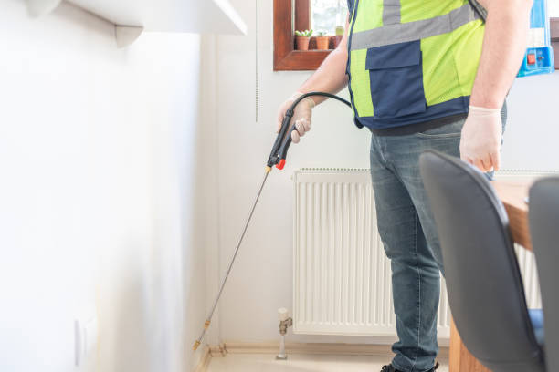 Wasp Removal Services in Fort Belvoir, VA