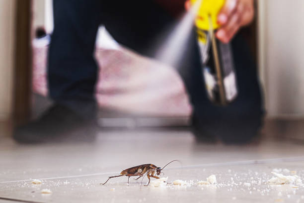 Best Wasp Removal Services  in Fort Belvoir, VA