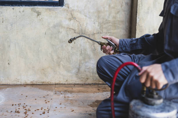  Fort Belvoir, VA Pest Control Pros
